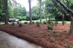 Greensboro-NC-landscape-services