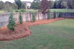 landscaping-service-Greensboro