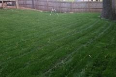 Greensboro-North-Carolina-landscaping-companies