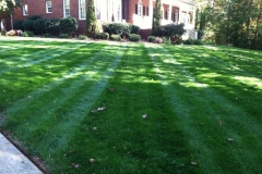 landscaping-Greensboro-North-Carolina